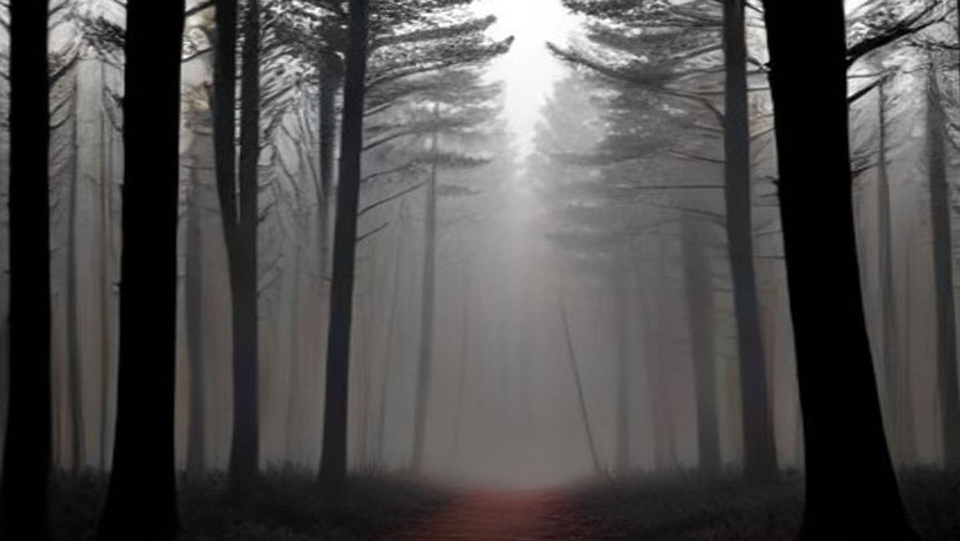 Sendero de tierra que se interna en un bosque de pinos al anochecer, con niebla entre los troncos