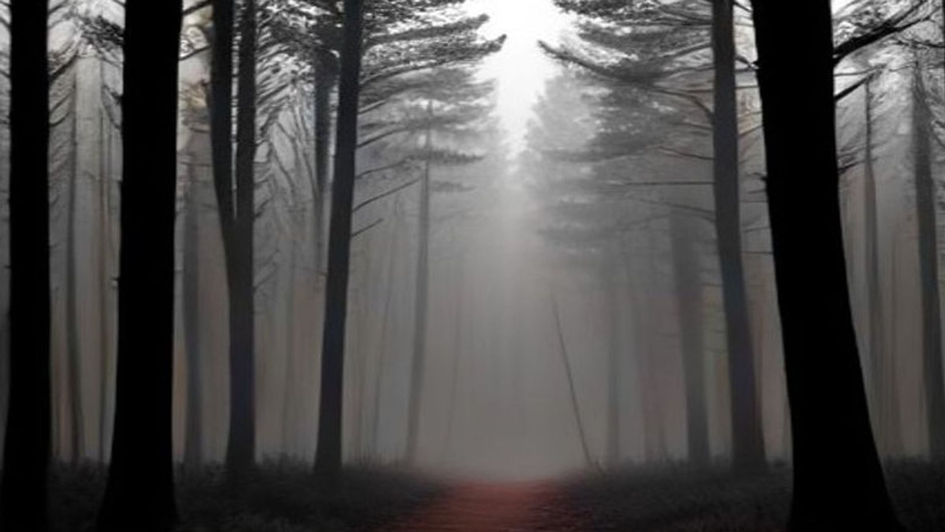 Sendero de tierra que se interna en un bosque de pinos al anochecer, con niebla entre los troncos