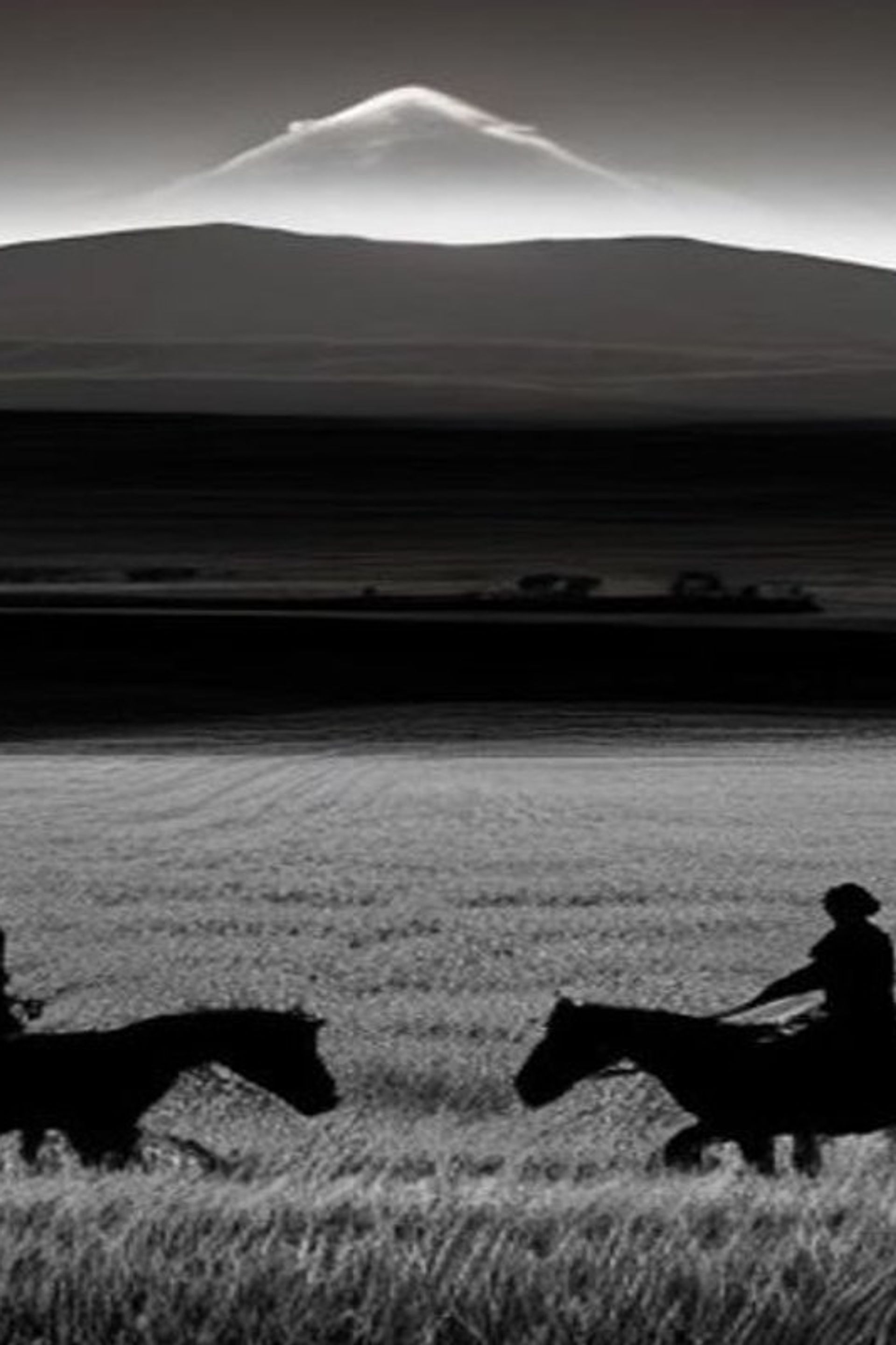 Pueblo de campos de trigo con jinetes oscuros acercándose desde el horizonte