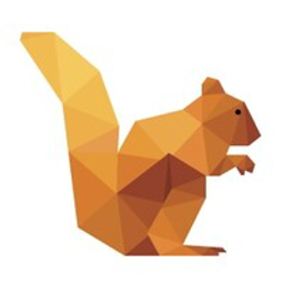 DataSquirrel logo
