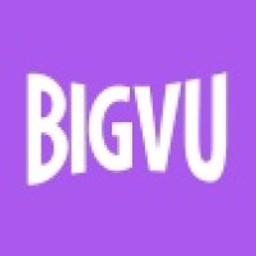 BIGVU logo