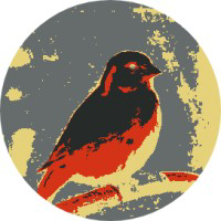 Kanaries logo