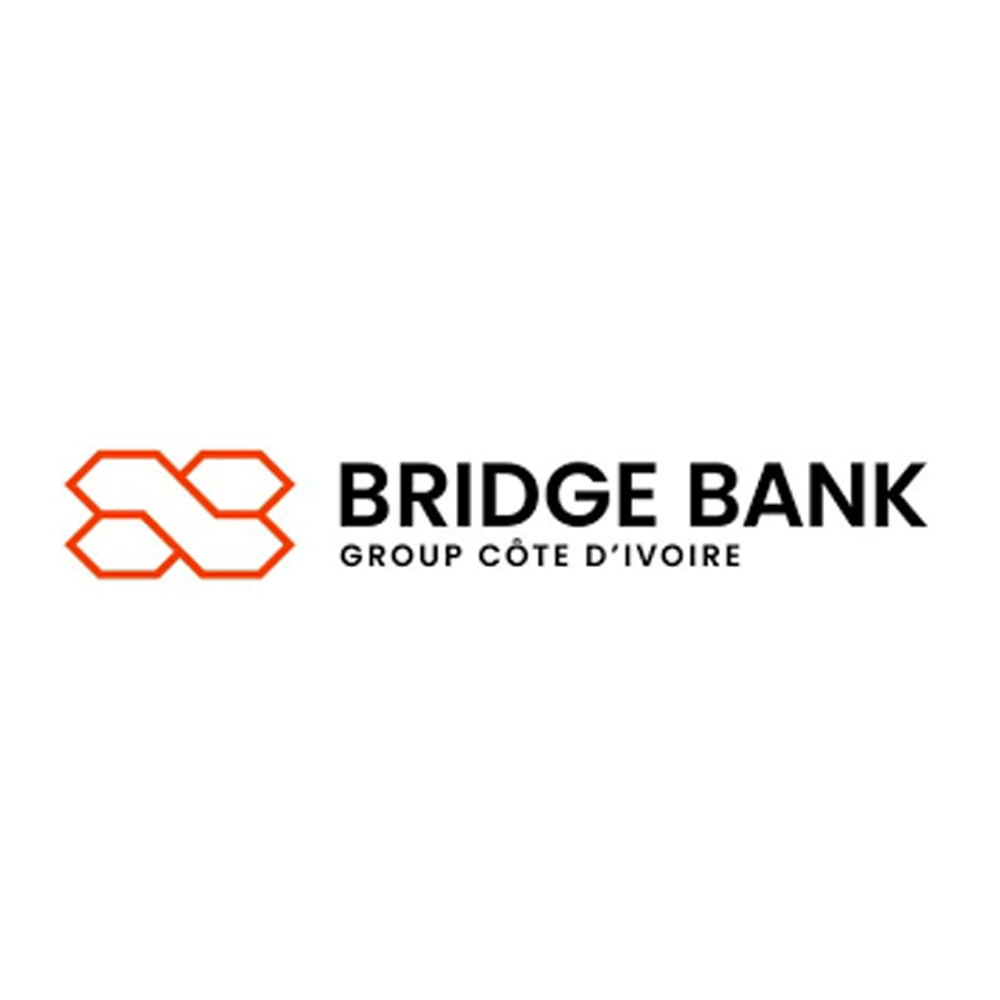 Le logo de Bridge Bank group sur un fond blanc