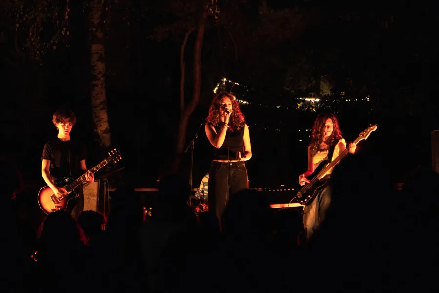 Sonatopia – photo 36