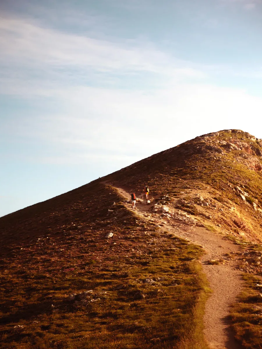 Morgon – photo 15