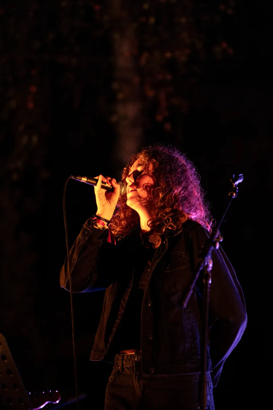 Sonatopia – photo 31