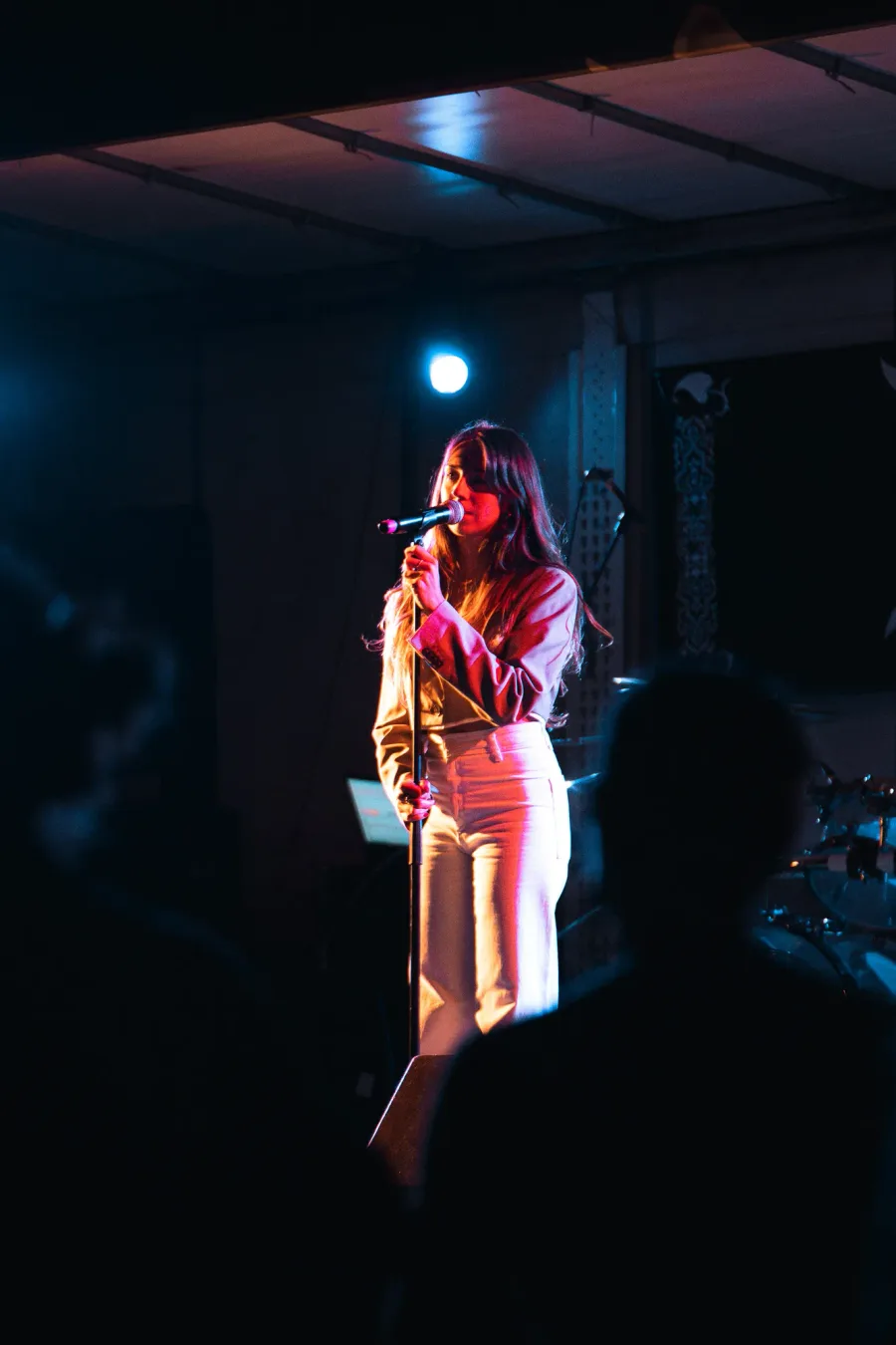Sonatopia – photo 13