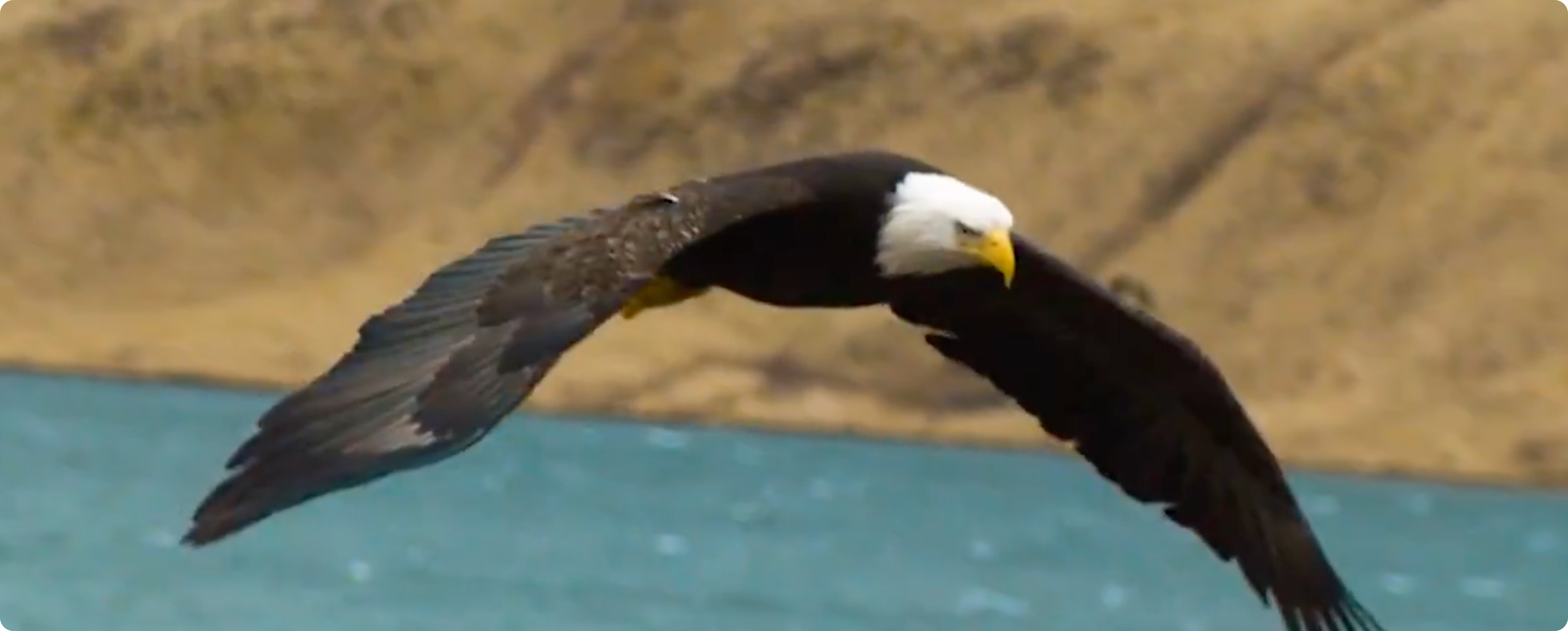 Rocketing out of stealth.