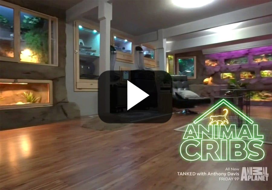 Animal Cribs Episode Eucalyptus Manimal Cave Cali