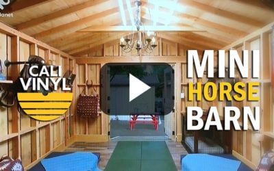 Animal Cribs Season 2 Episode 3 Mini Horse Barn