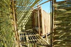 The NSAD team’s bamboo dwelling featured a modular design that morphed to form a larger sleeping room at night. Floors were raised two feet off the ground, which was lucky considering the muddy San Luis Obispo hillside.