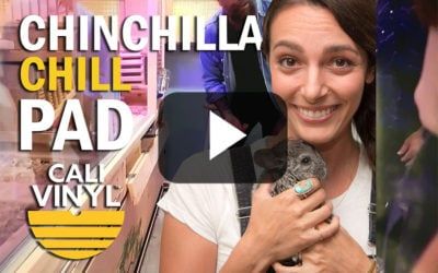 Animal Cribs Season 2 Episode 2 Chinchilla Cali Vinyl