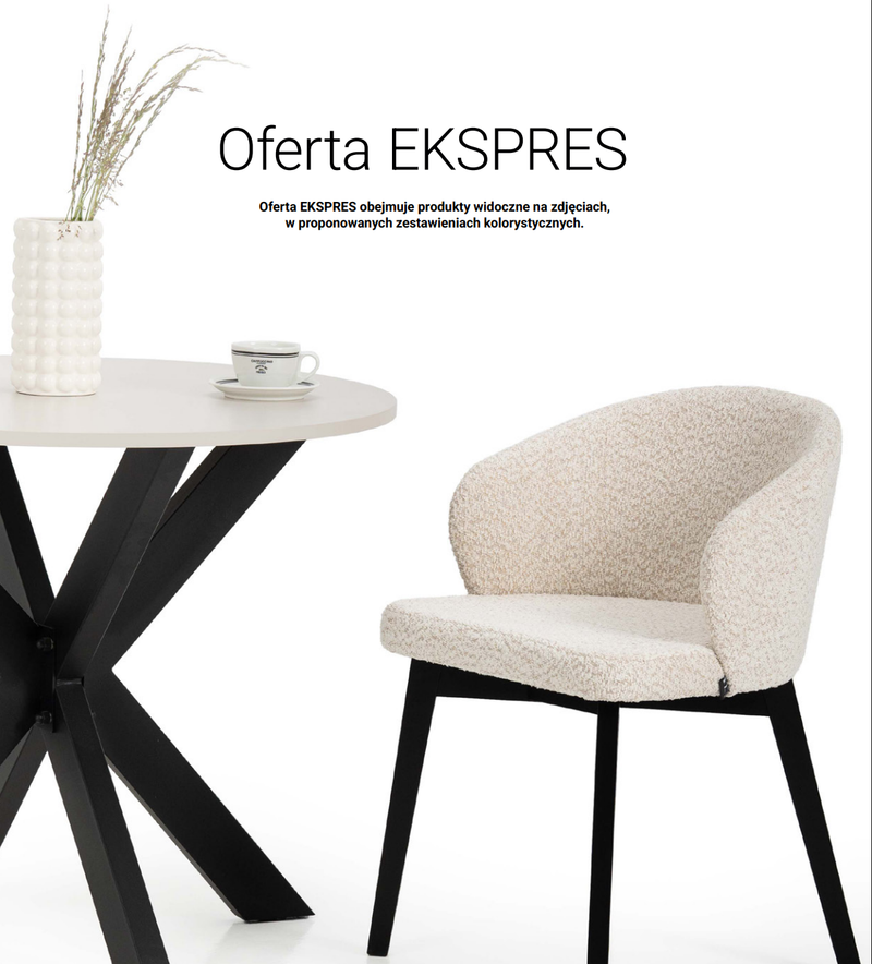 Okładka: Katalog Brzost Express