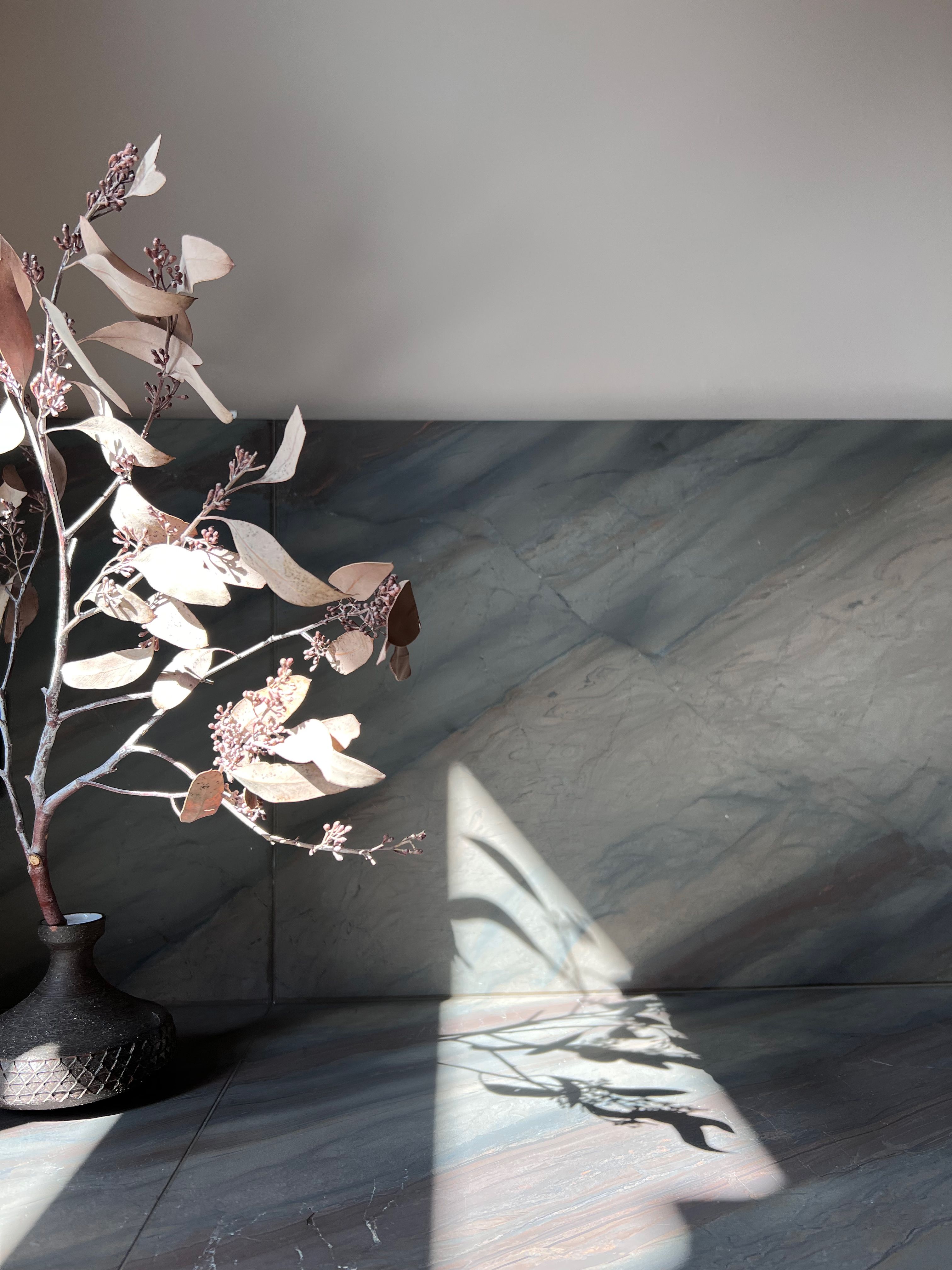 Studio Lar Image