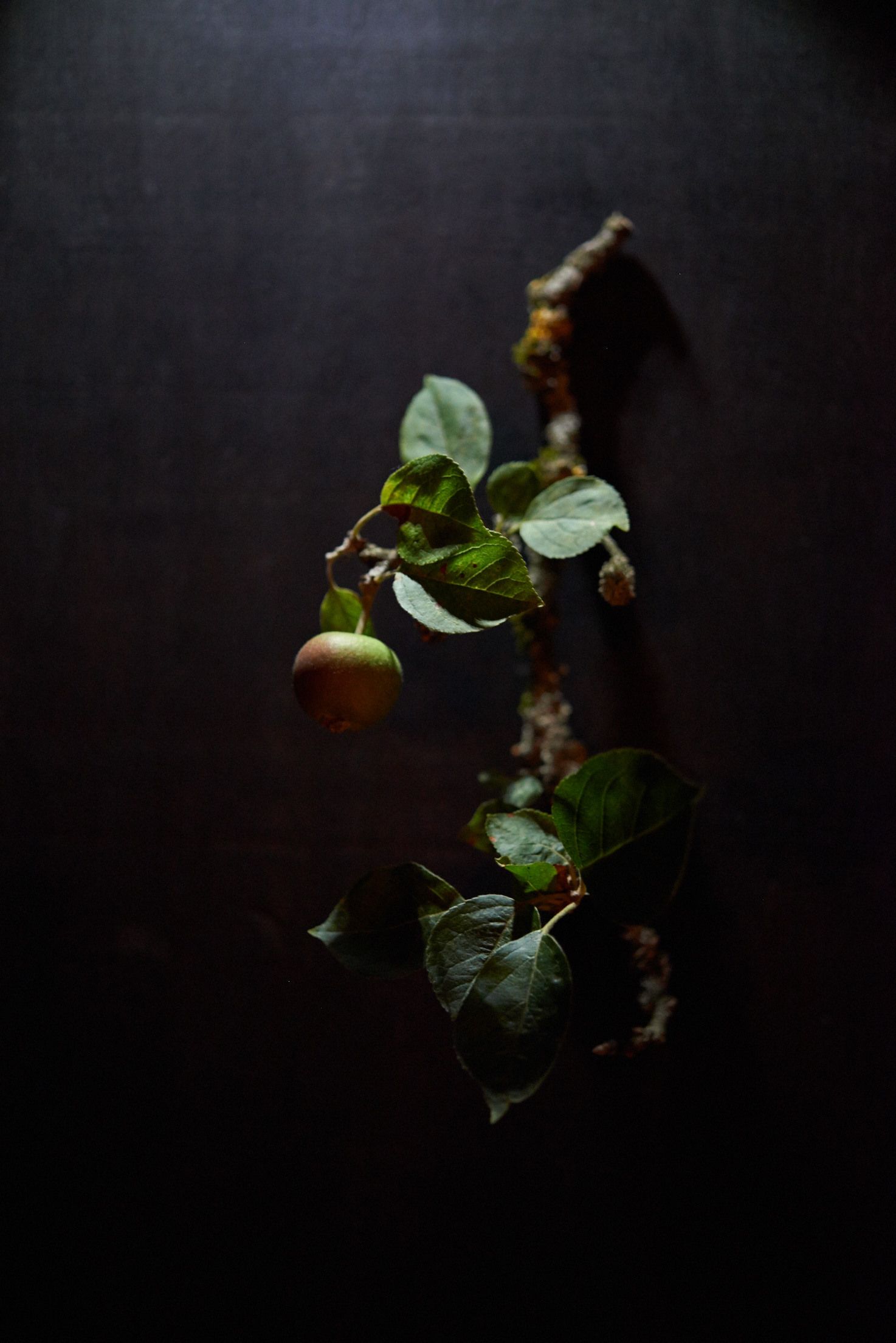 Studio Lar Image