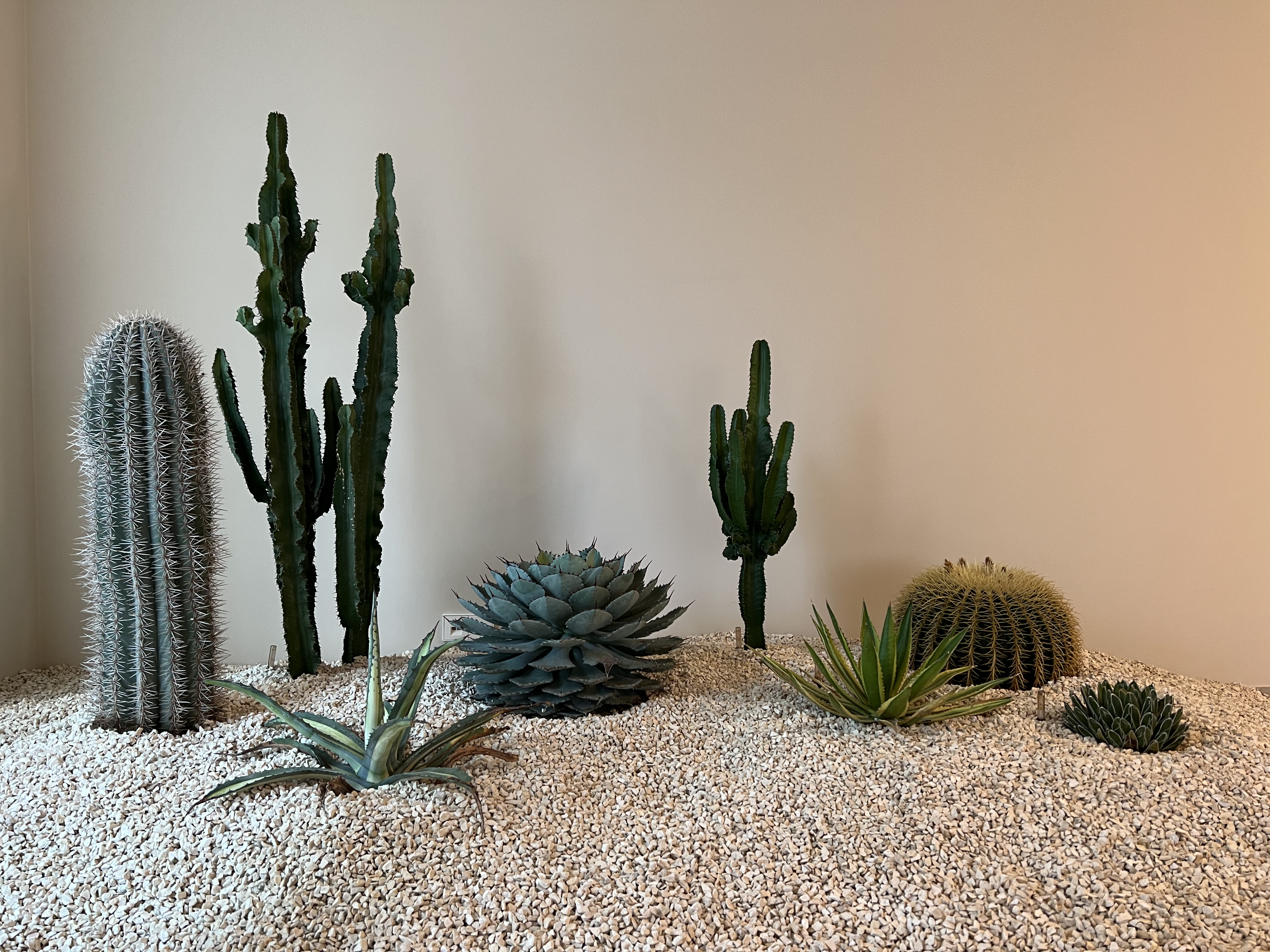 Studio Lar Image