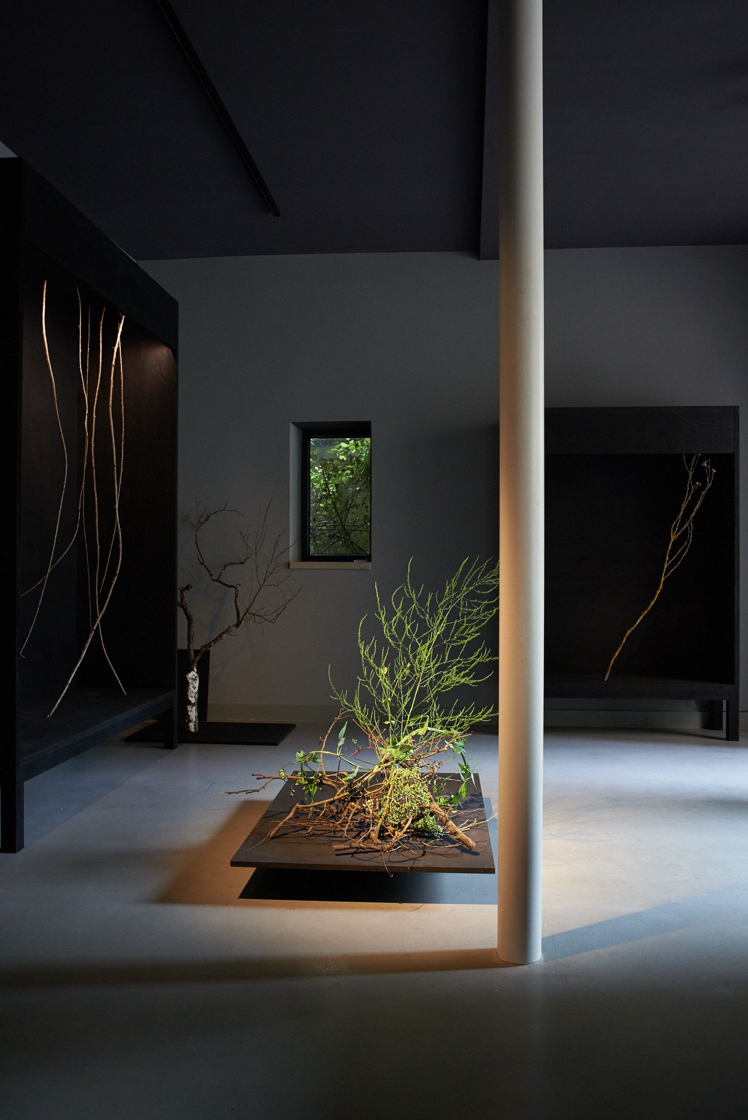 Studio Lar Image