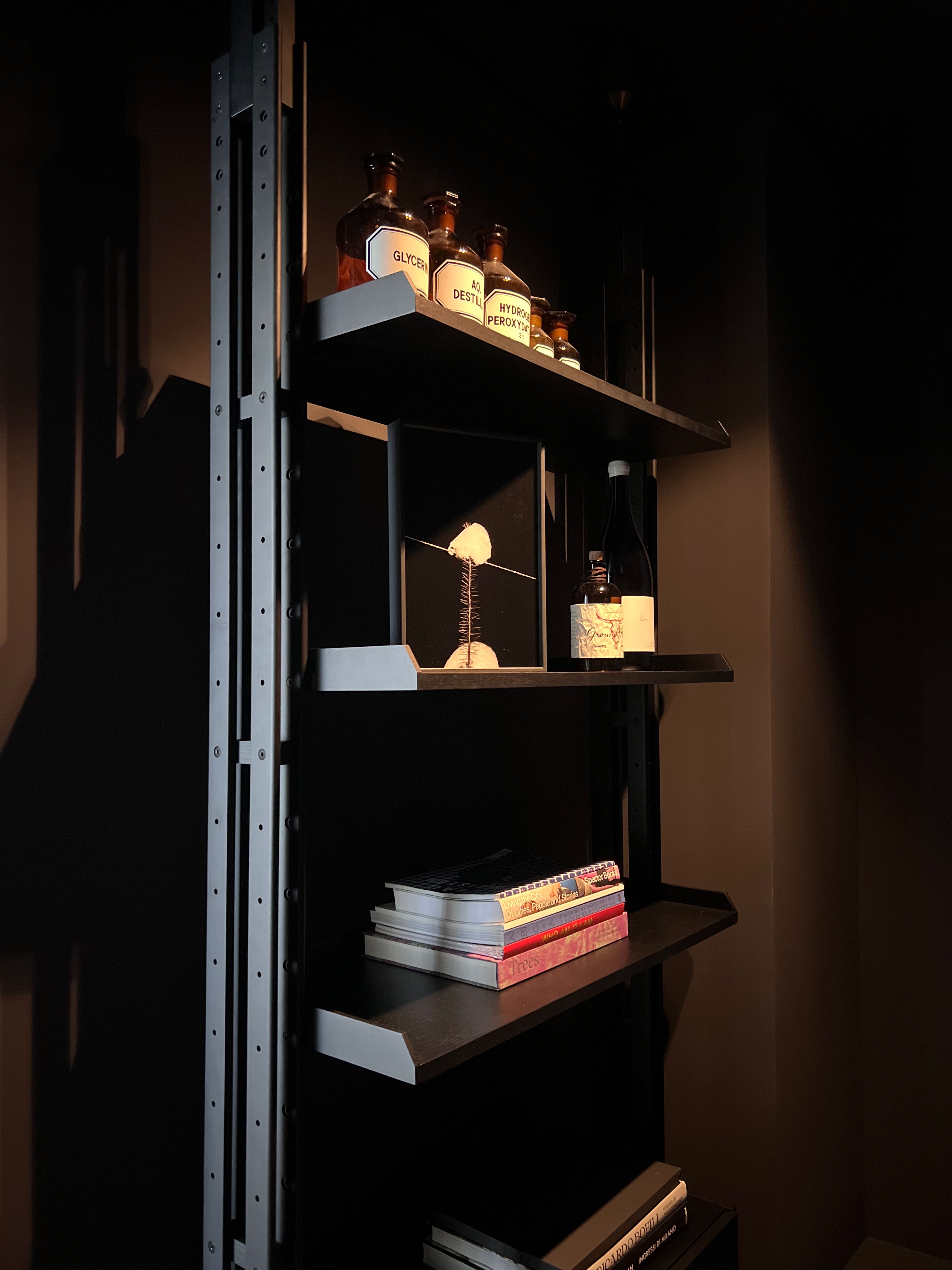 Studio Lar Image