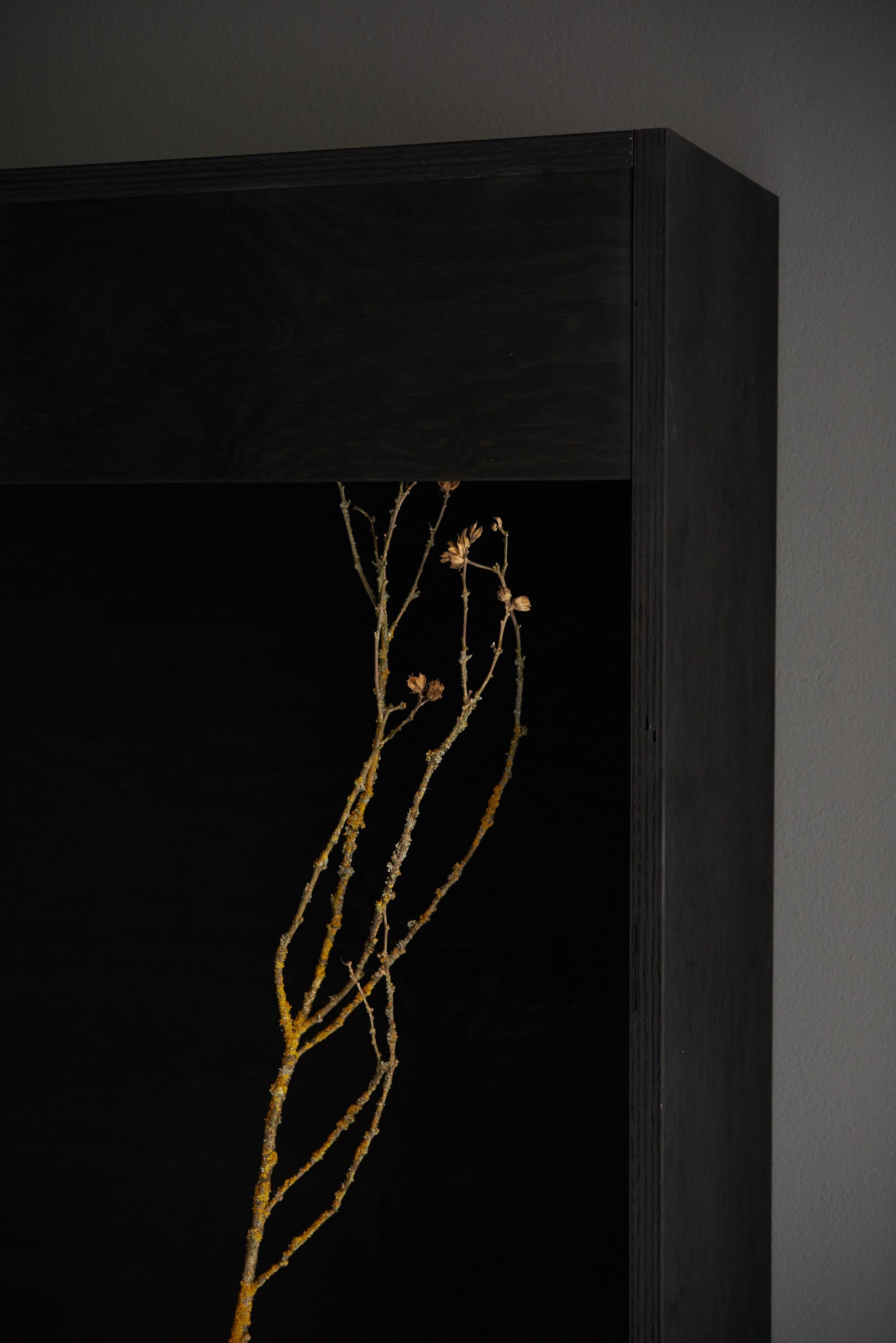 Studio Lar Image