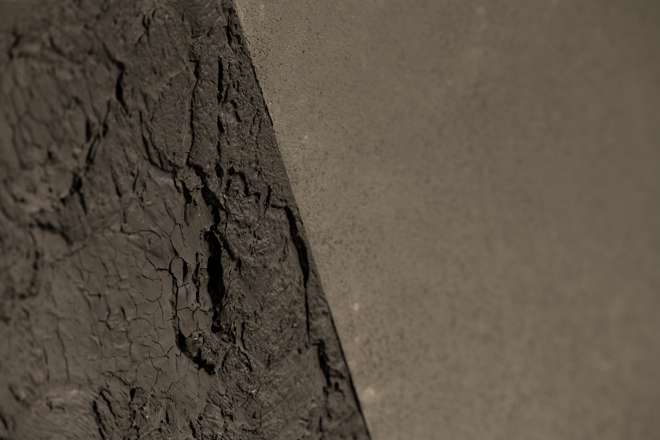 Studio Lar Image