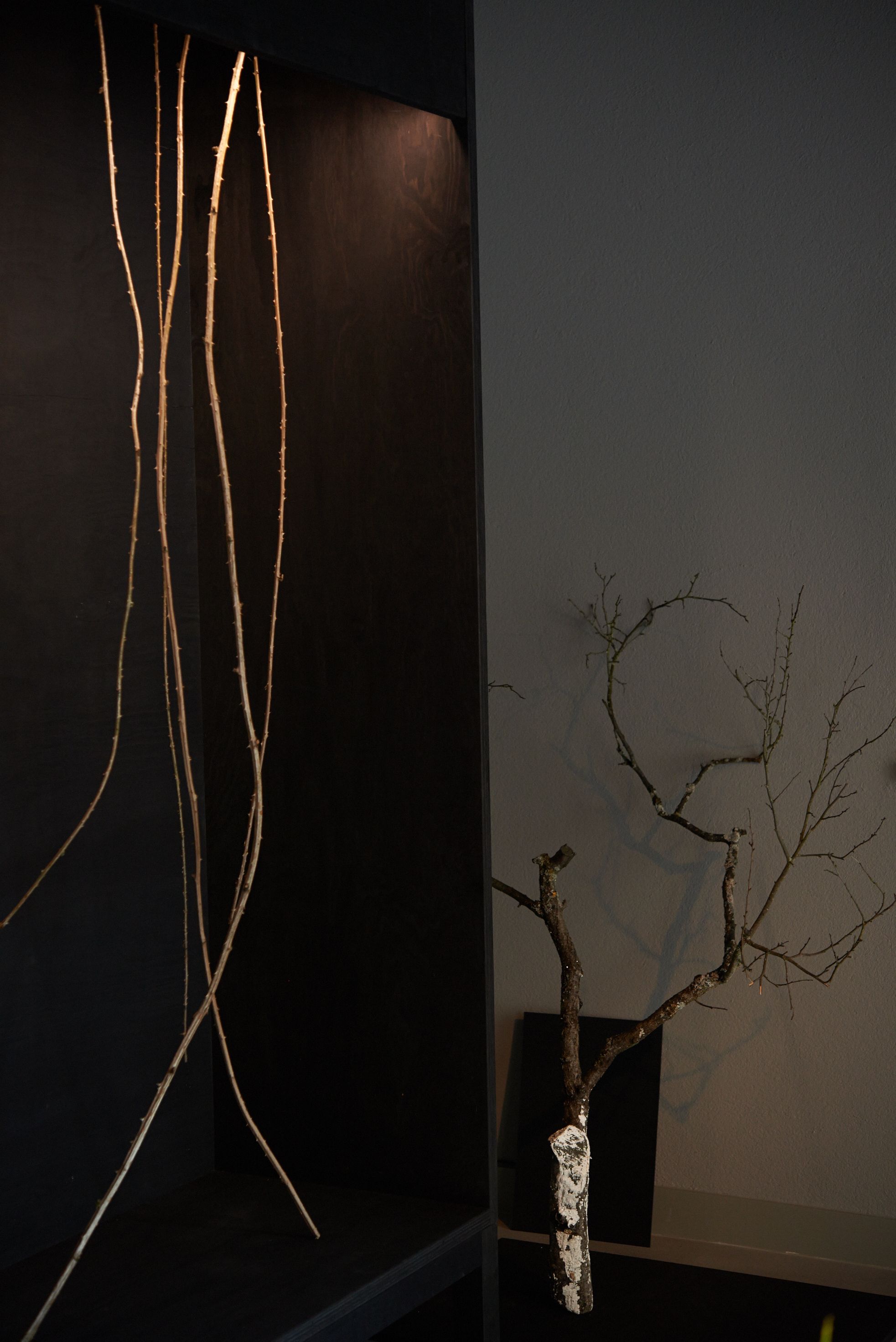 Studio Lar Image