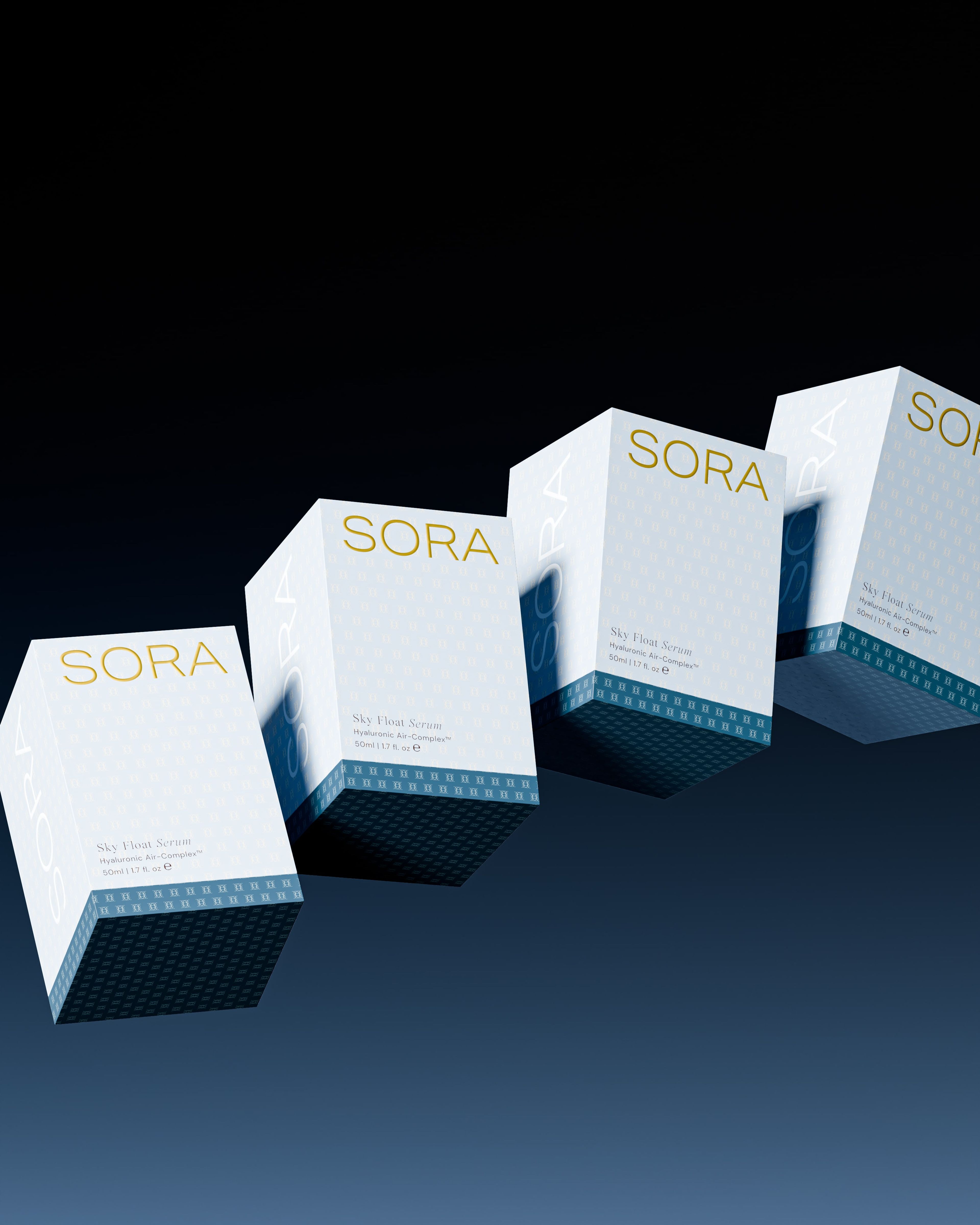 SORA — image 4