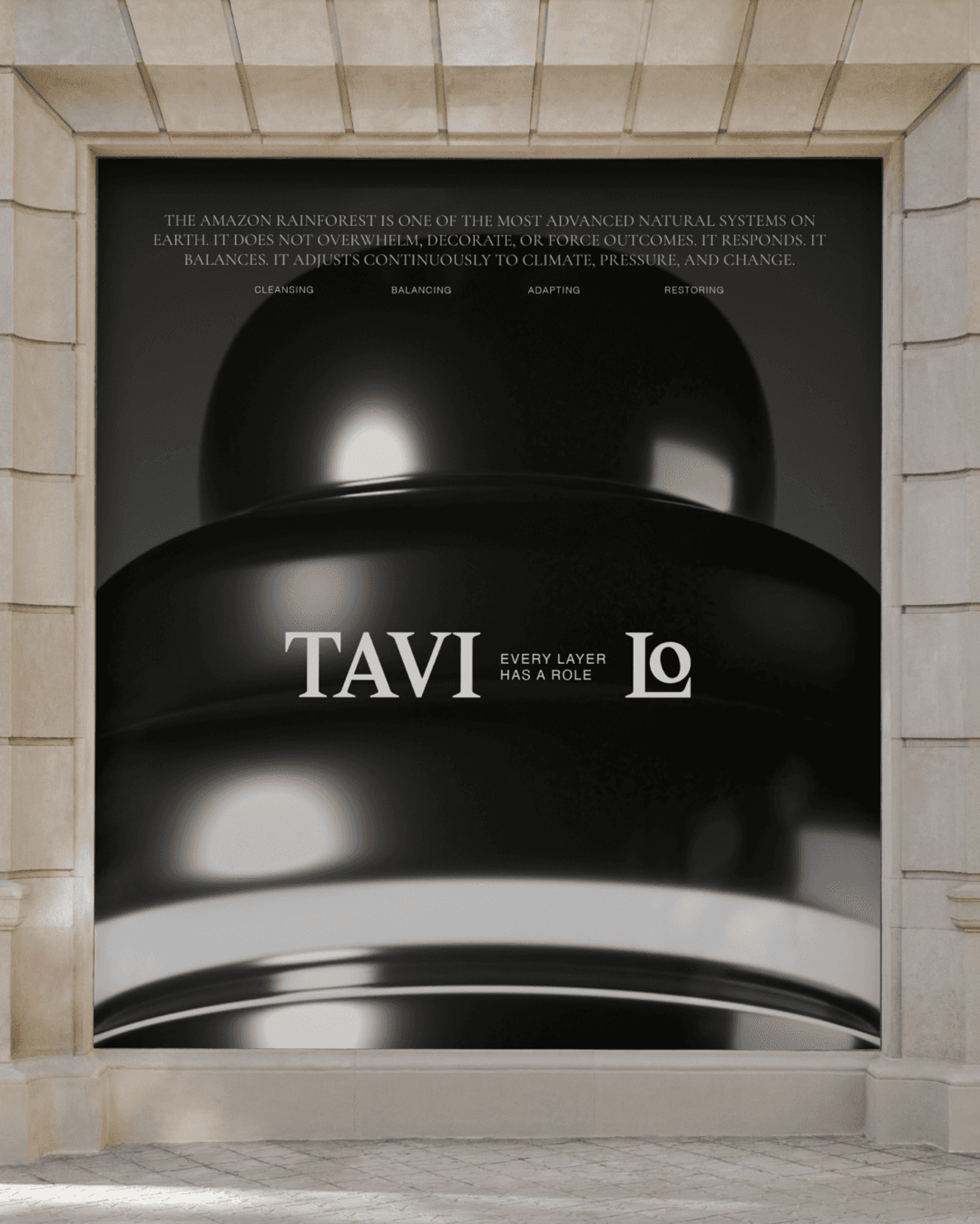 Tavi Lo — image 19