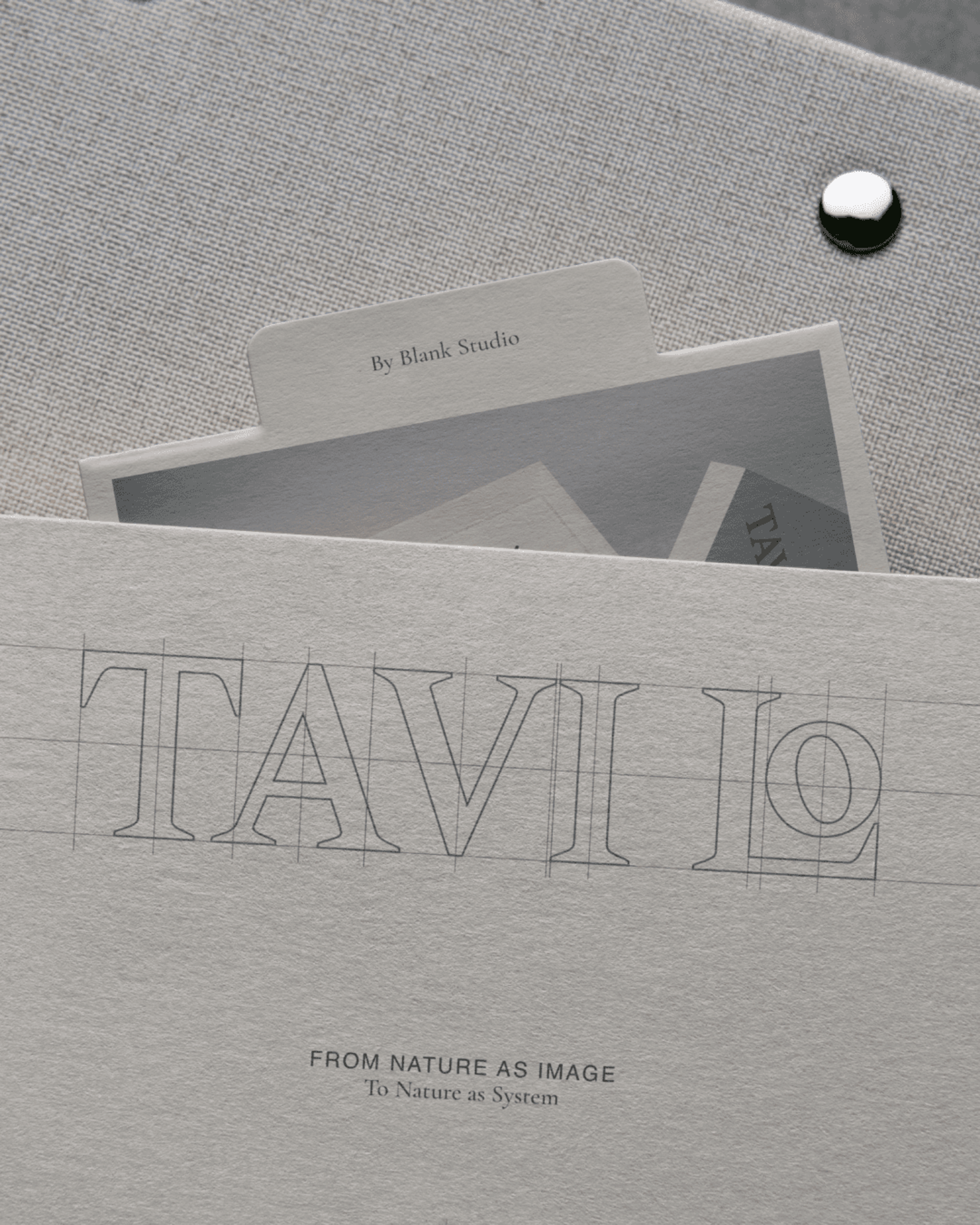 Tavi Lo — image 9