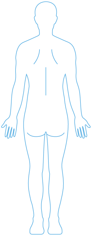 Simple Icon of the back of a human body 