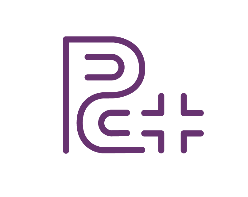 Pc plus icon 