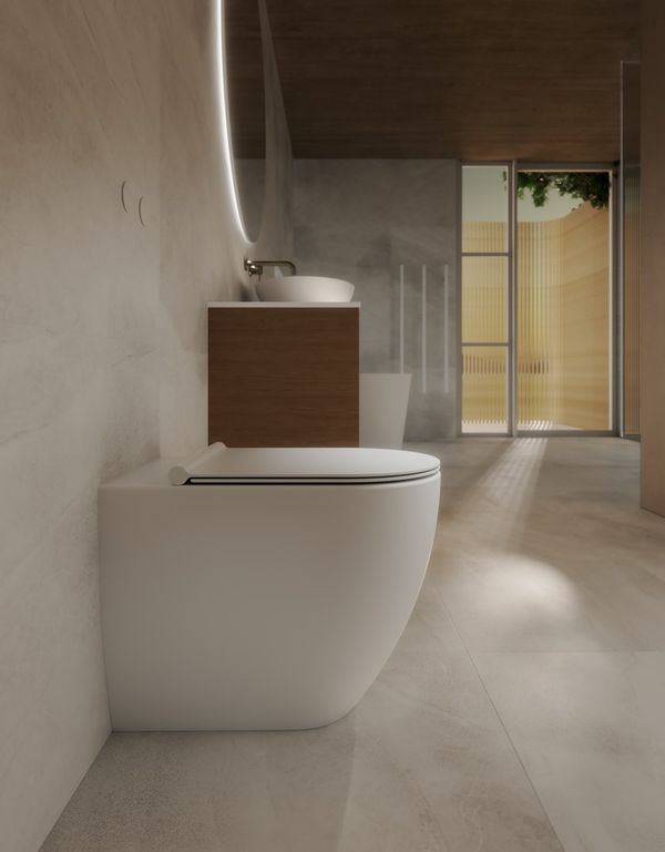 Floor Mount Toilets