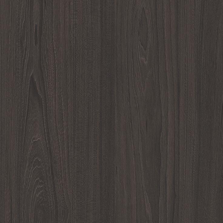 Fiordland Elm