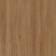 Hamptons Elm