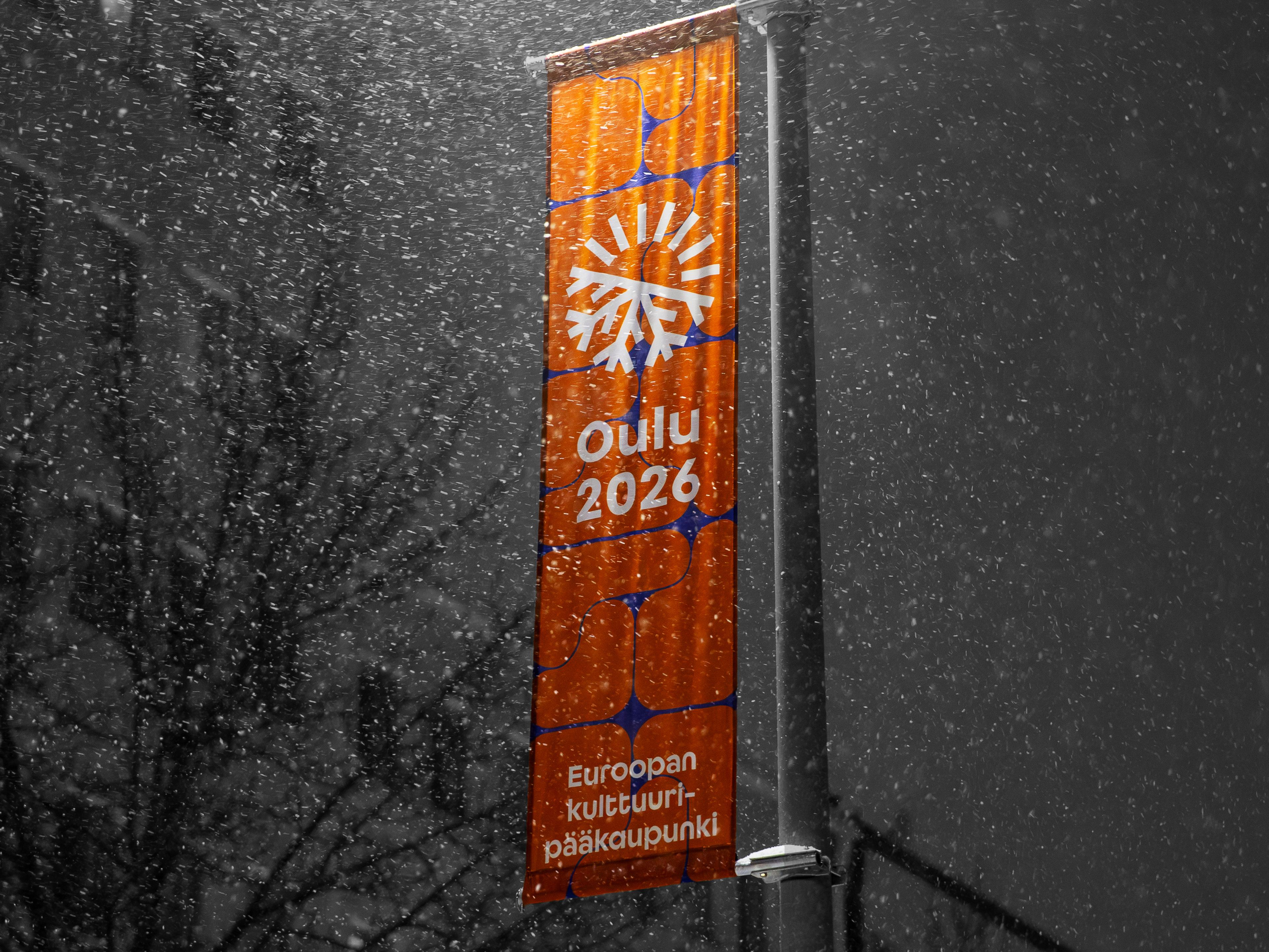 Large-Scale Event Materials: Lessons from the Oulu2026 Partnership, image 7
