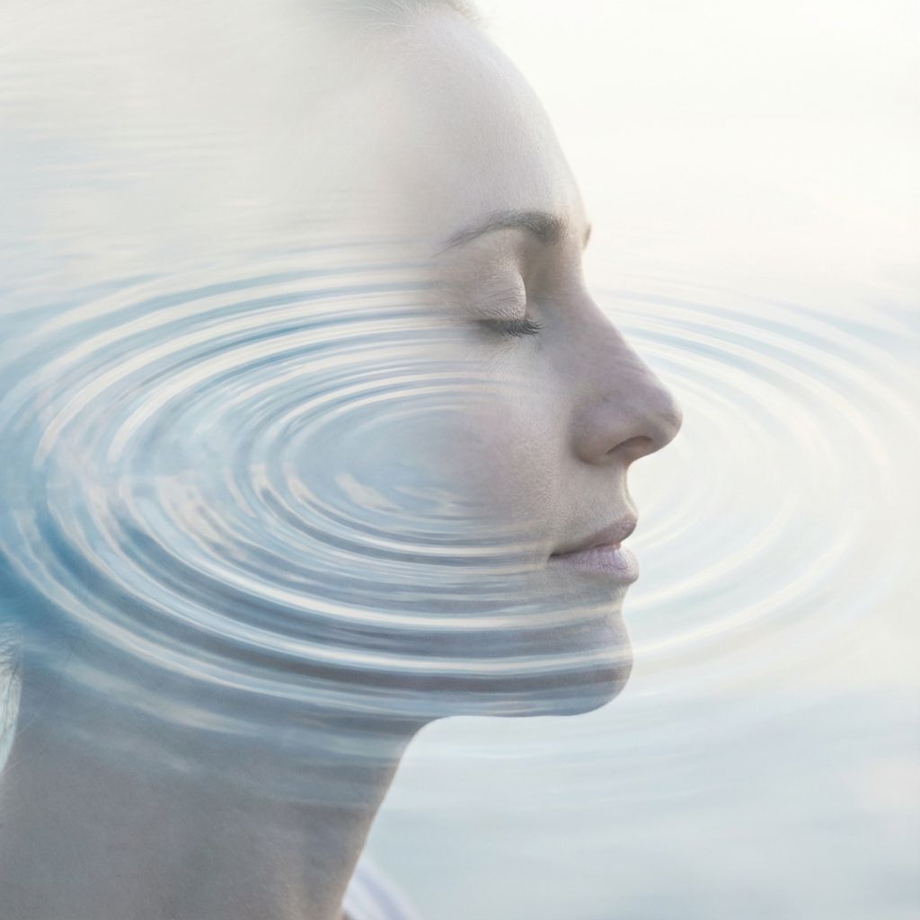 UN Structure & The Need for Reform