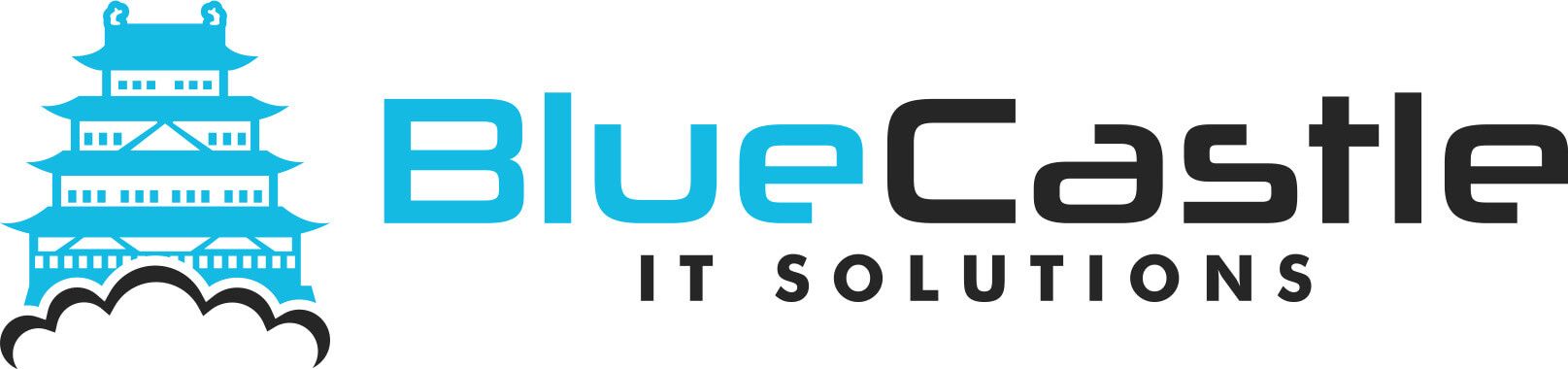 BlueCastle IT Solutions LLC