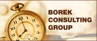 Borek Consulting Group, Inc.