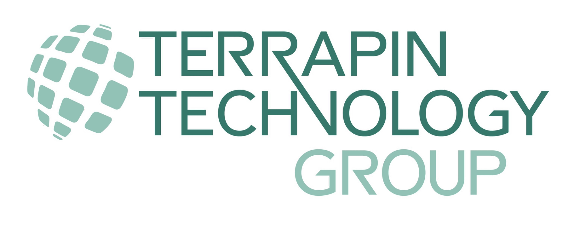 Terrapin Technology Group, Inc.