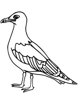 kleurplaat meeuw