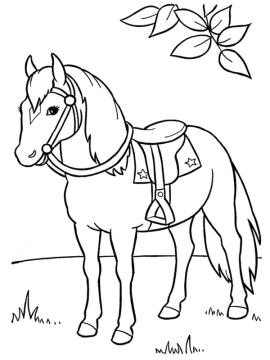 kleurplaat paard in wei