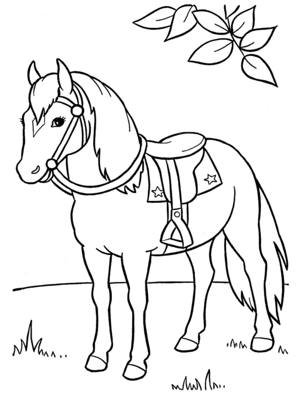 kleurplaat paard in wei