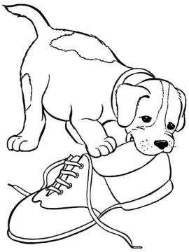 kleurplaat beagle