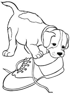 kleurplaat beagle