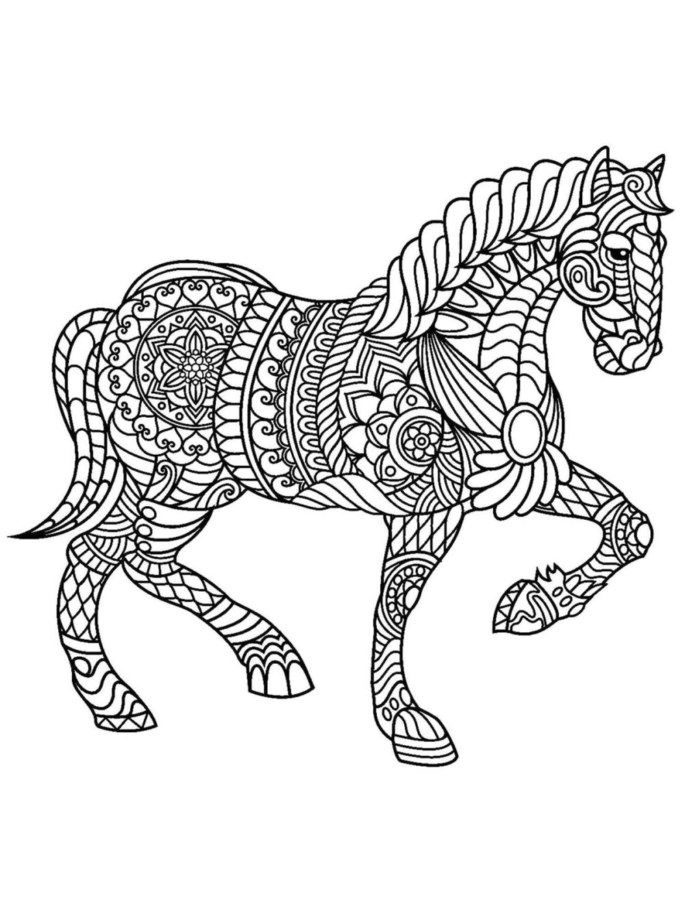 kleurplaat paard