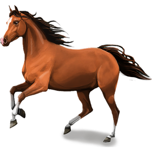 Paarden kleurplaten