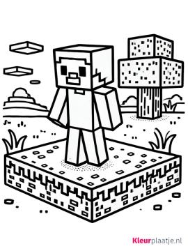 minecraft kleurplaat