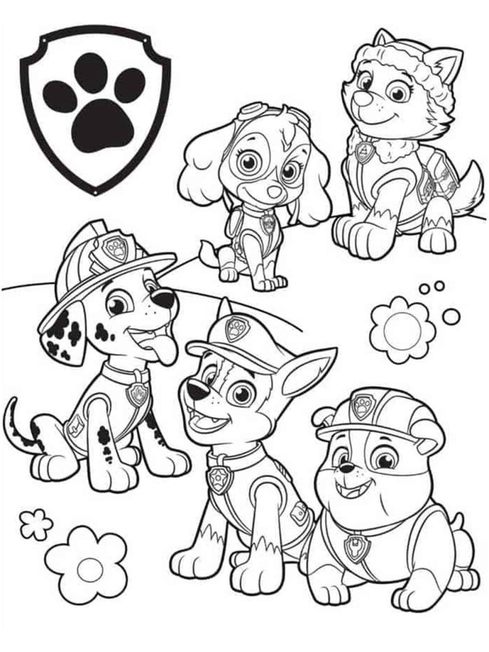 kleurplaat paw patrol vrienden