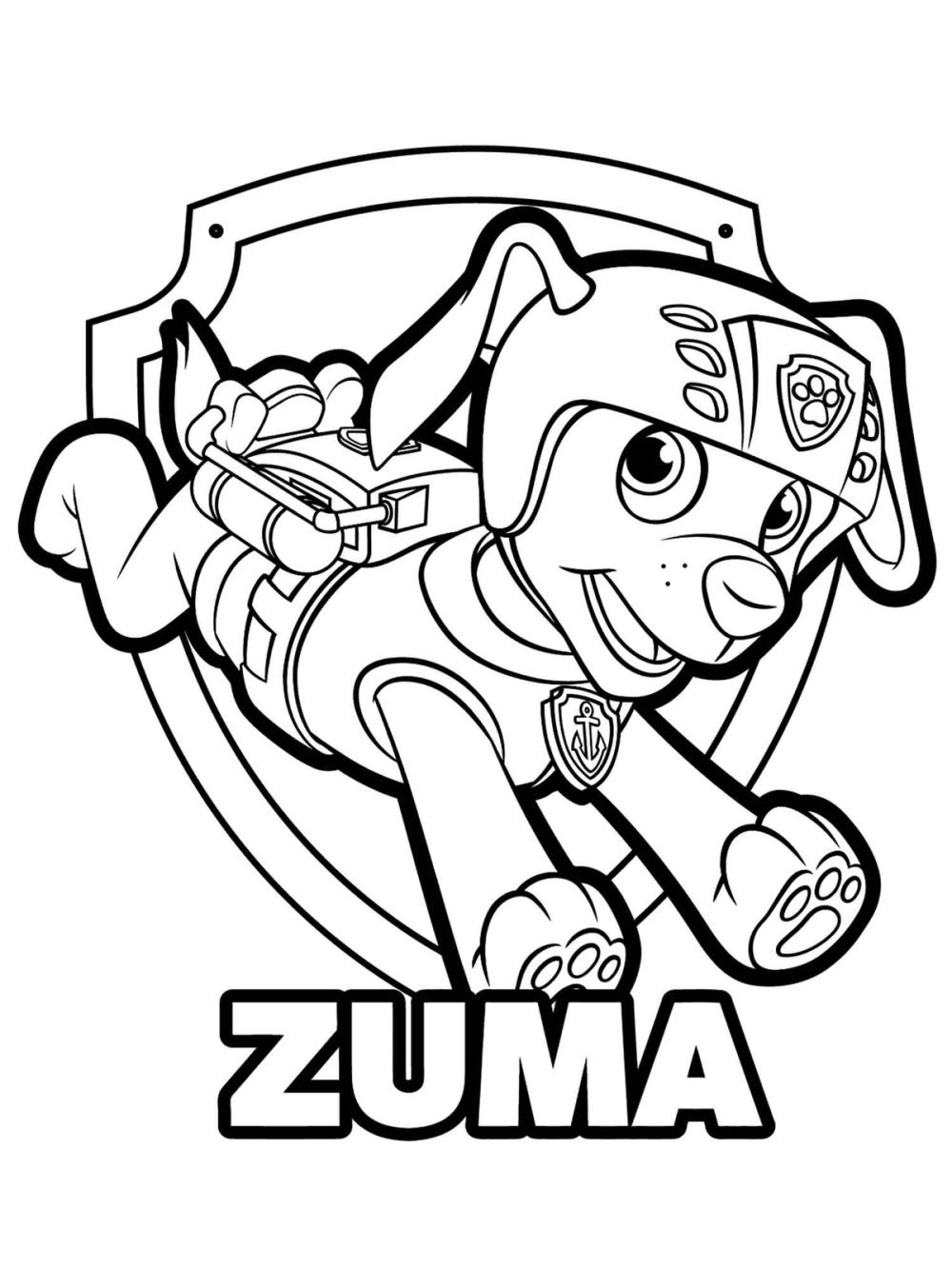 kleurplaat paw patrol zuma