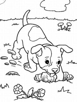 kleurplaat hond graaft gat