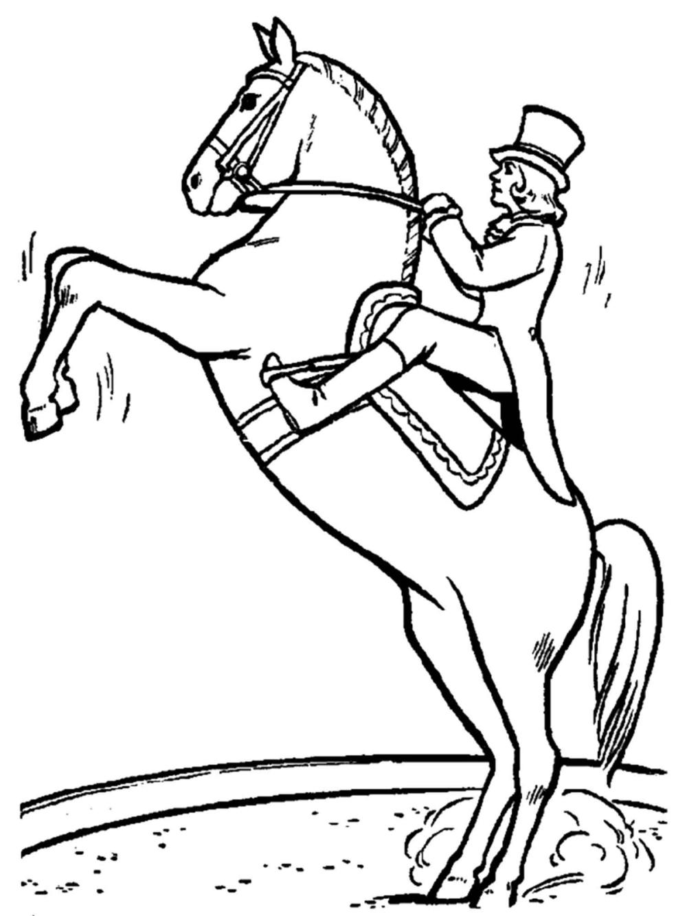 kleurplaat steigerend paard